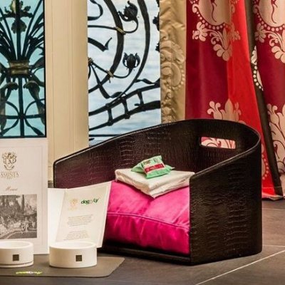 DoggyLy: aperitivo a 6 zampe