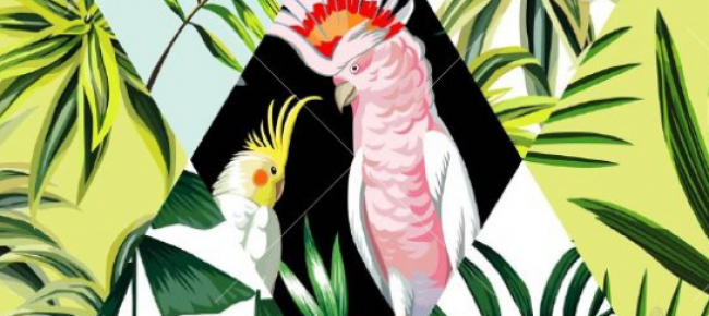 Download Salotto In Stile Tropicale Idee E Colori Fashionchannel Free Get Wallpaper Salotto In Stile Tropicale Idee E Colori Fashionchannel For Android Free