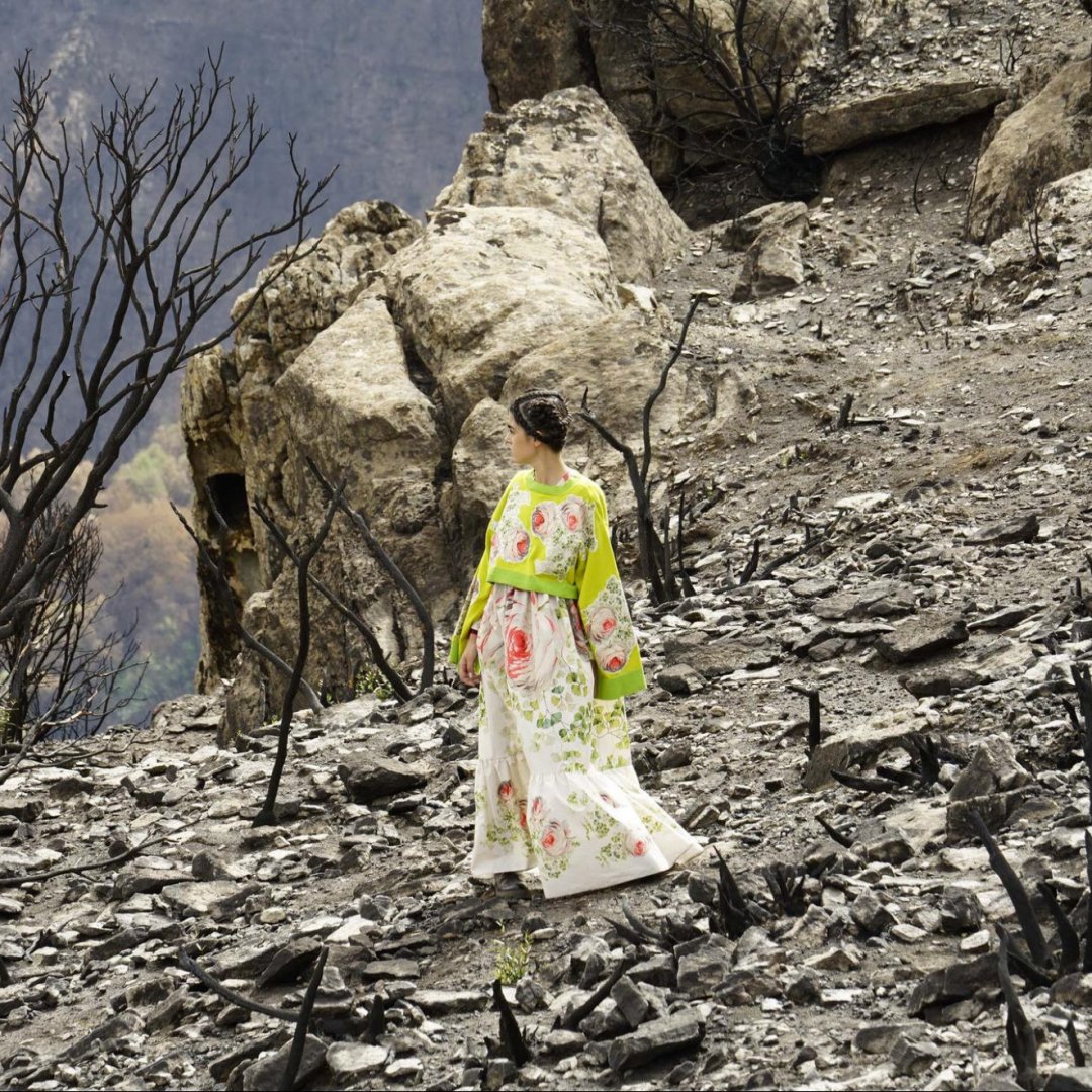 La natura selvaggia con le sue ferite, ispira l'estate di Antonio Marras